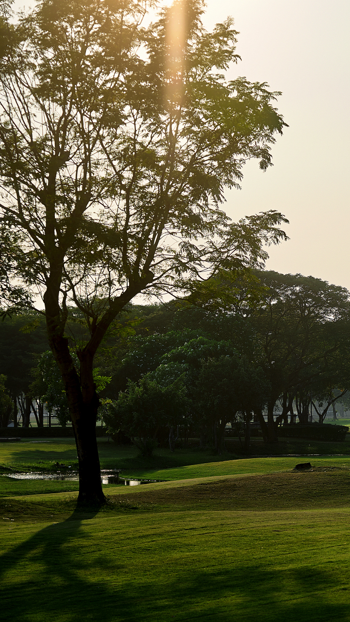 Fearlessness_Golf_Background_Trees